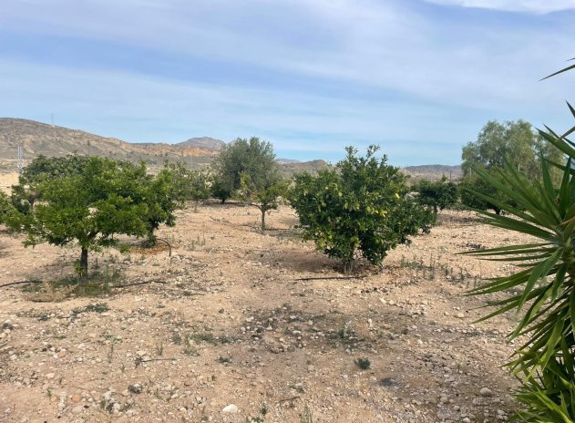 Herverkoop - Finca / Plattelands Woning - Abanilla