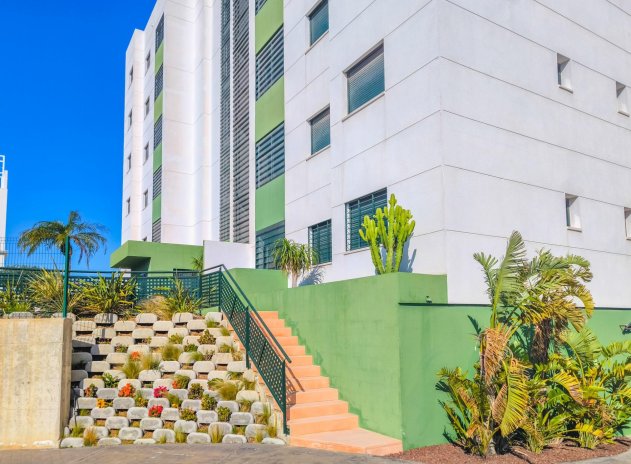 Reventa - Apartamento / Piso - Pilar de la Horadada - Mil Palmeras