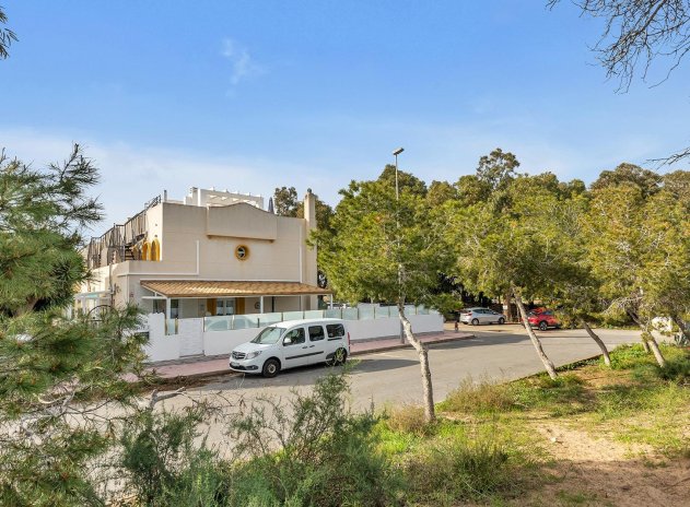 Wiederverkauf - Villa - Guardamar del Segura