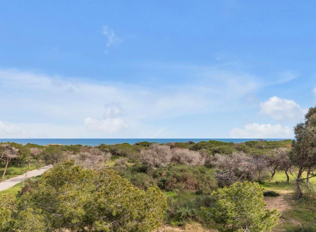 Wiederverkauf - Villa - Guardamar del Segura