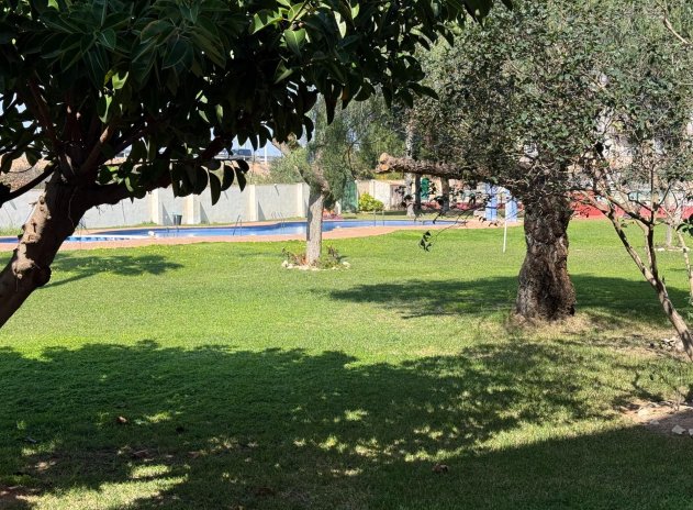 Herverkoop - Appartement - Torrevieja - Parque de las Naciones