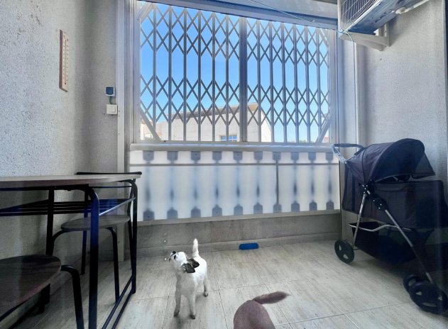 Revente - Appartement - Torrevieja - Acequion