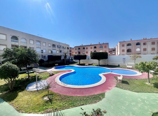 Revente - Appartement - Torrevieja - Acequion