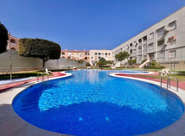 Revente - Appartement - Torrevieja - Acequion