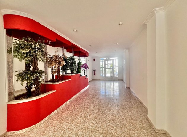 Revente - Appartement - Torrevieja - Acequion