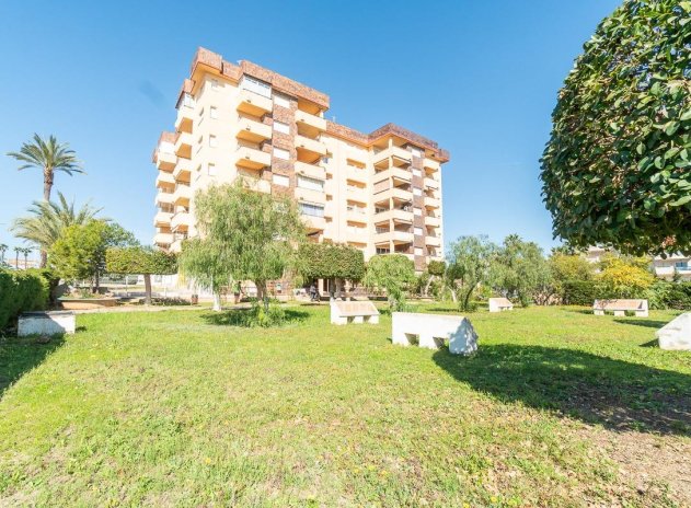 Reventa - Apartamento / Piso - Orihuela Costa - La Zenia