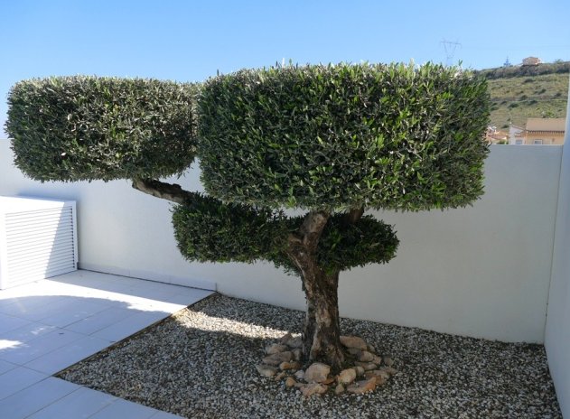 Revente - Villa - Benijofar