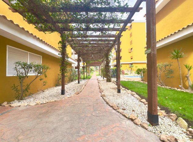 Herverkoop - Appartement - Torrevieja - Punta Prima