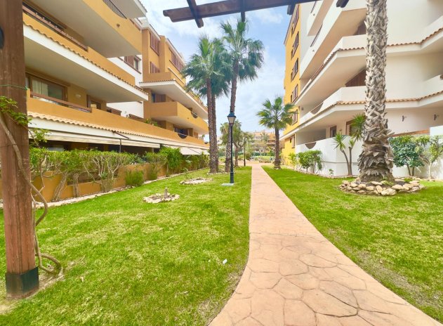 Herverkoop - Appartement - Torrevieja - Punta Prima