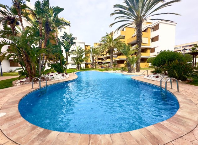 Herverkoop - Appartement - Torrevieja - Punta Prima