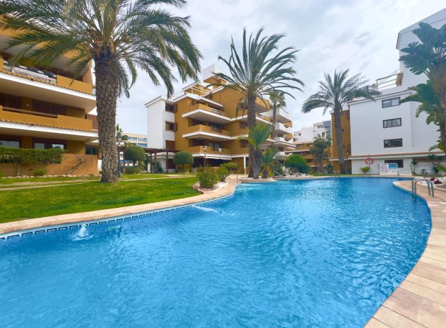 Herverkoop - Appartement - Torrevieja - Punta Prima
