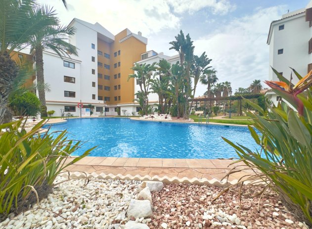 Herverkoop - Appartement - Torrevieja - Punta Prima