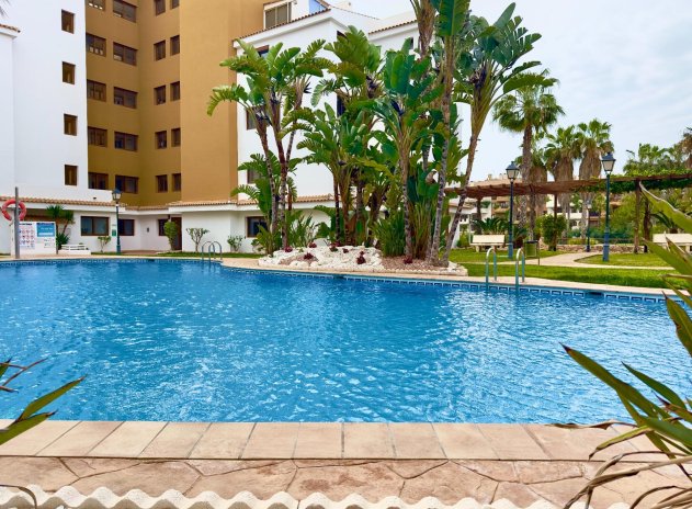 Herverkoop - Appartement - Torrevieja - Punta Prima