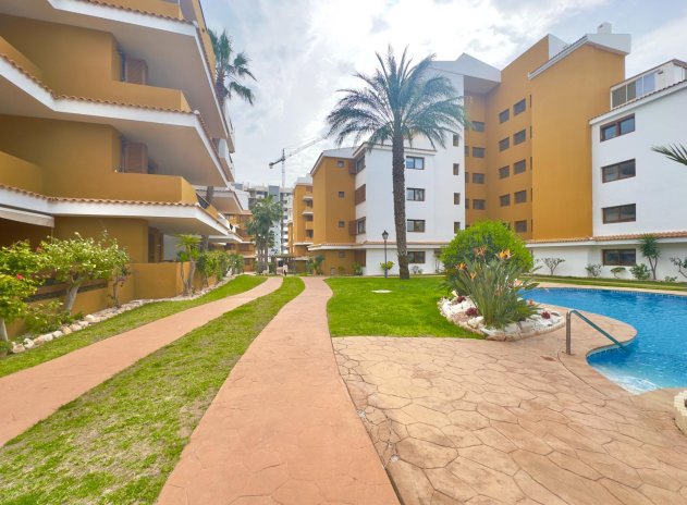 Herverkoop - Appartement - Torrevieja - Punta Prima