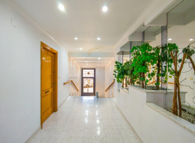 Wiederverkauf - Wohnung - Torrevieja