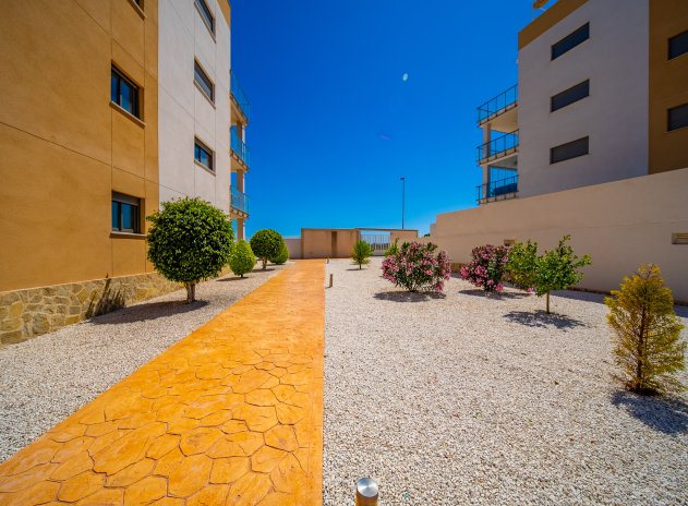 Reventa - Apartamento / Piso - Orihuela Costa - Villamartín