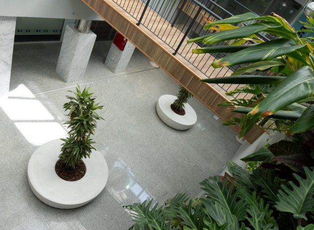 Location à long terme - Commercial - Orihuela Costa - Playa Flamenca