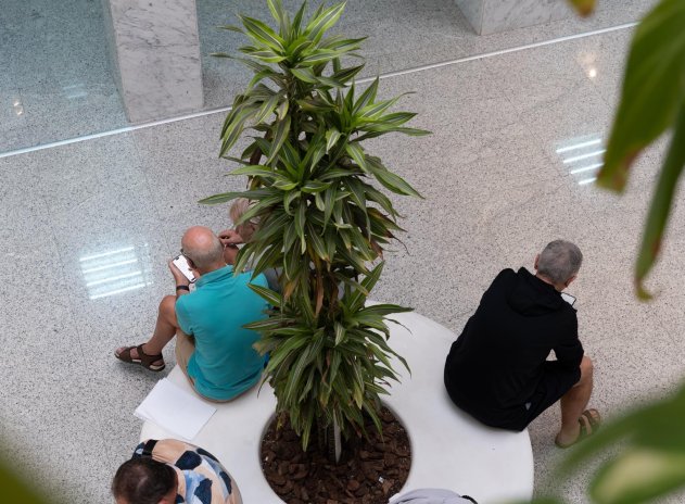 Location à long terme - Commercial - Orihuela Costa - Playa Flamenca