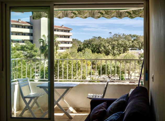 Revente - Appartement - Guardamar del Segura