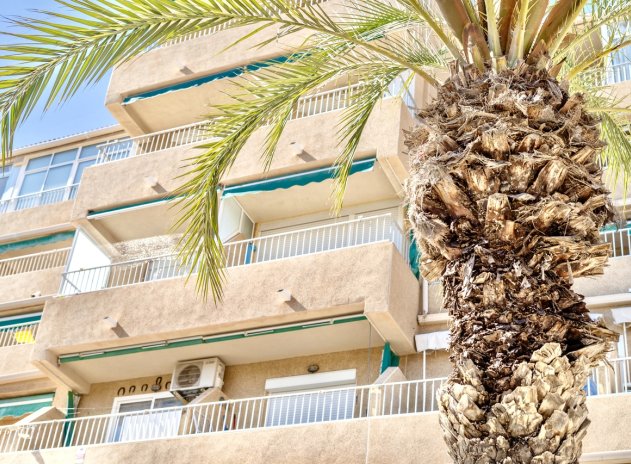 Revente - Appartement - Guardamar del Segura