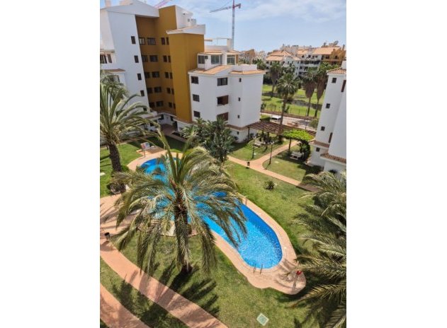 Reventa - Apartamento / Piso - Punta Prima
