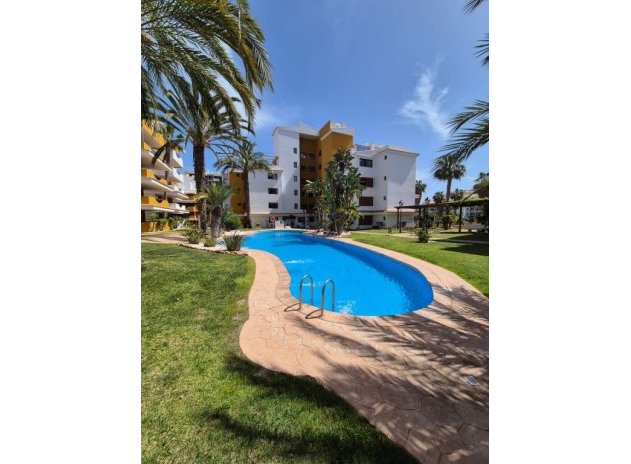 Reventa - Apartamento / Piso - Punta Prima