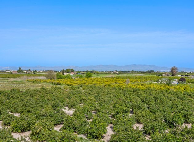 Herverkoop - Appartement - Daya Nueva - Costa Blanca South