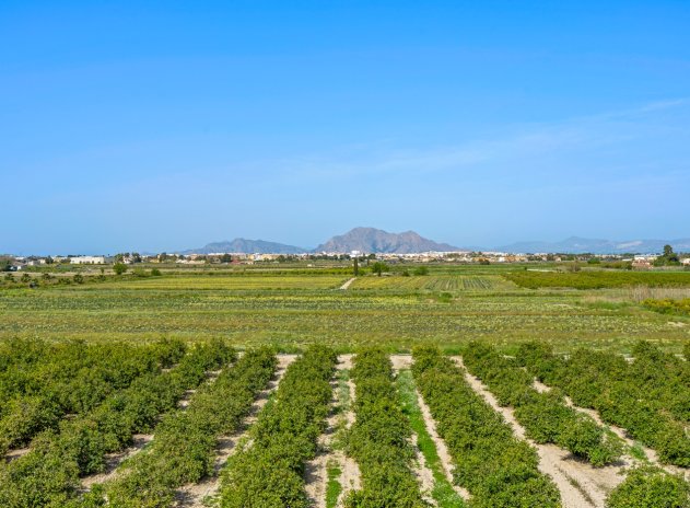 Herverkoop - Appartement - Daya Nueva - Costa Blanca South