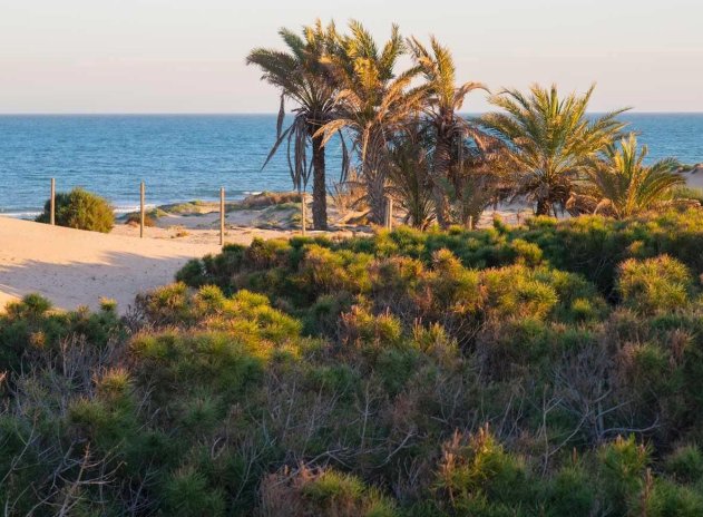 Nieuwbouw Woningen - Appartement - Guardamar del Segura - Avda del Puerto