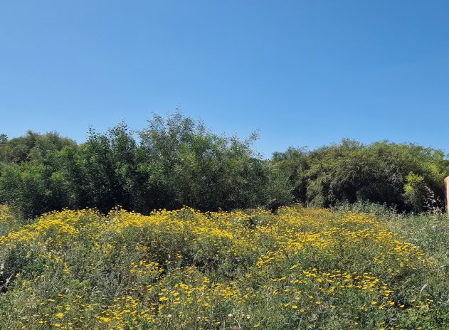 Herverkoop - Perceel - Torrevieja