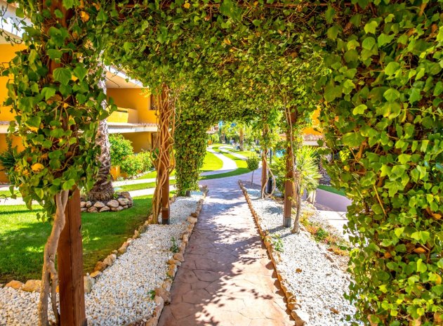 Herverkoop - Appartement - Torrevieja - Punta Prima