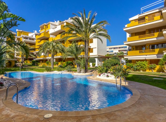 Herverkoop - Appartement - Torrevieja - Punta Prima
