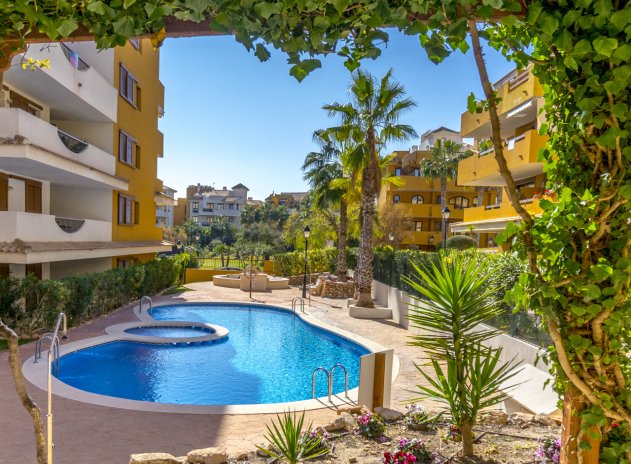 Herverkoop - Appartement - Torrevieja - Punta Prima