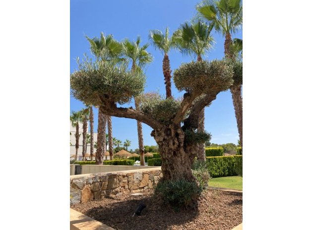 Reventa - Apartamento / Piso - LAS COLINAS