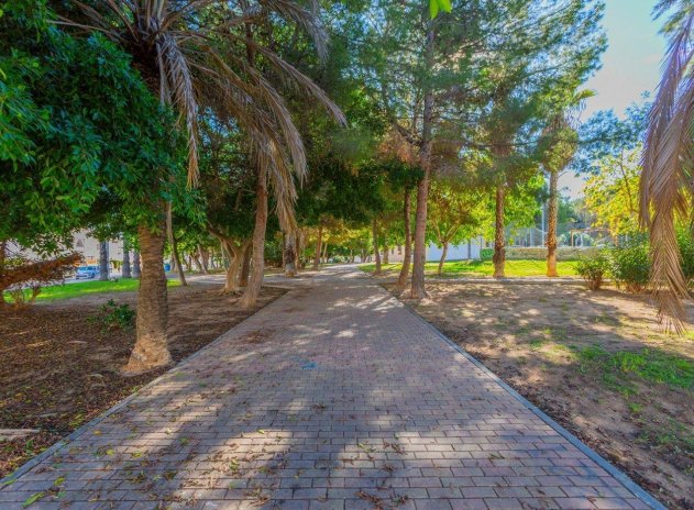 Herverkoop - Rijwoning - Torrevieja - Calas blanca