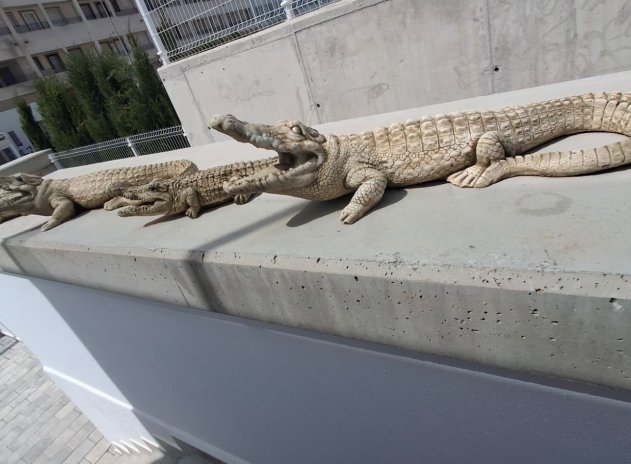 Reventa - Villa - Orihuela - Entre Naranjos Vistabella Golf