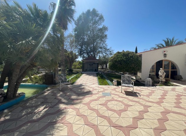 Revente - Finca / Maison Rurale - Elda