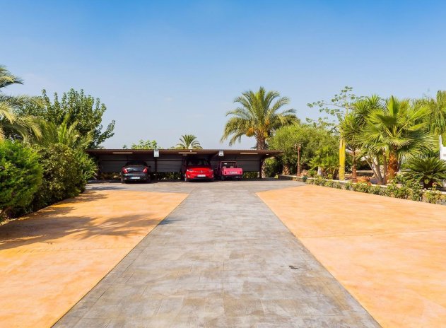 Revente - Finca / Maison Rurale - Almoradí