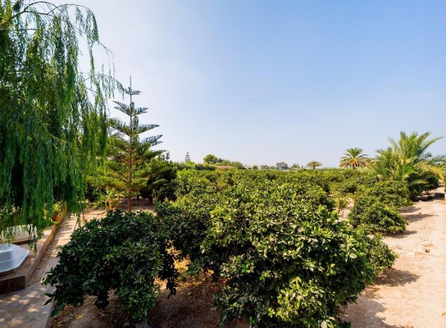 Revente - Finca / Maison Rurale - Almoradí