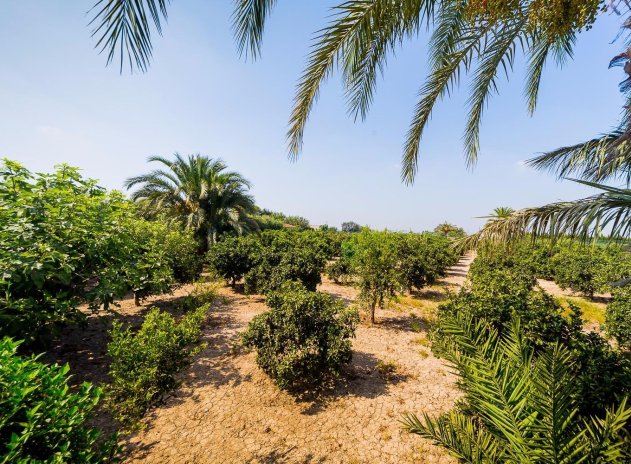 Revente - Finca / Maison Rurale - Almoradí