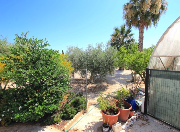 Herverkoop - Finca / Plattelands Woning - Daya Vieja
