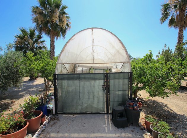 Herverkoop - Finca / Plattelands Woning - Daya Vieja