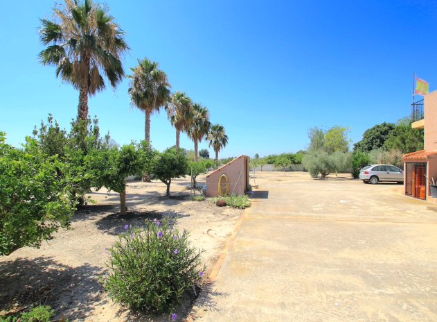 Herverkoop - Finca / Plattelands Woning - Daya Vieja