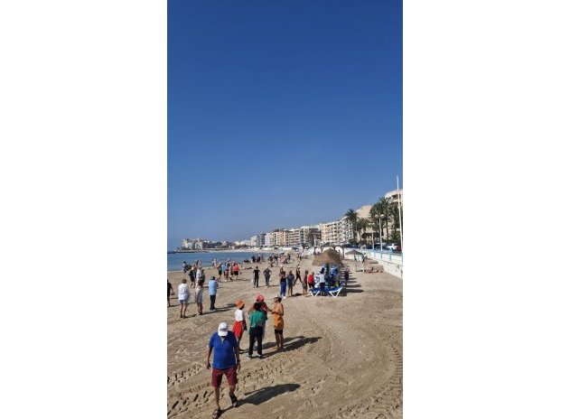 Herverkoop - Appartement - Torrevieja - Playa de los Locos