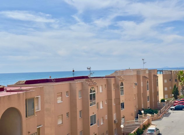 Herverkoop - Appartement - Torrevieja - Cabo cervera