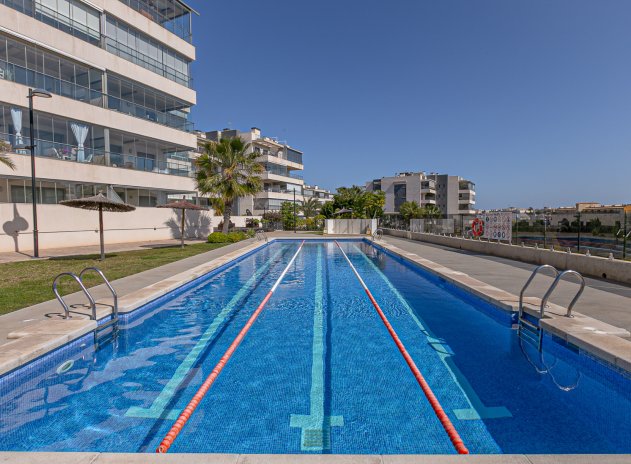 Herverkoop - Appartement - Los Dolses - Pimienta