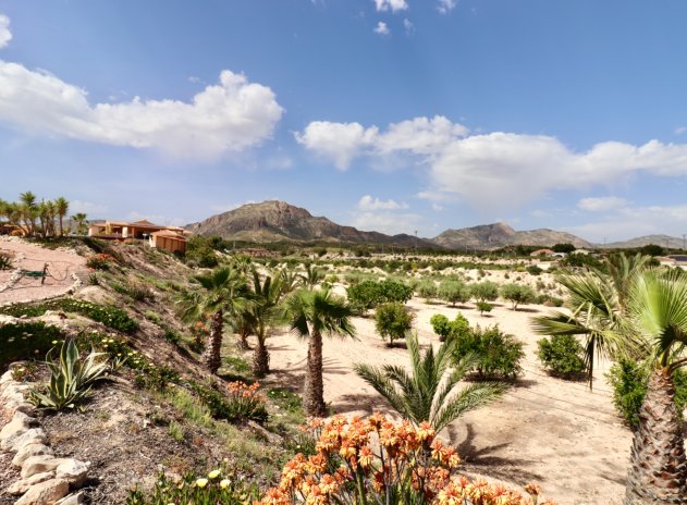 Herverkoop - Finca / Plattelands Woning - Albatera