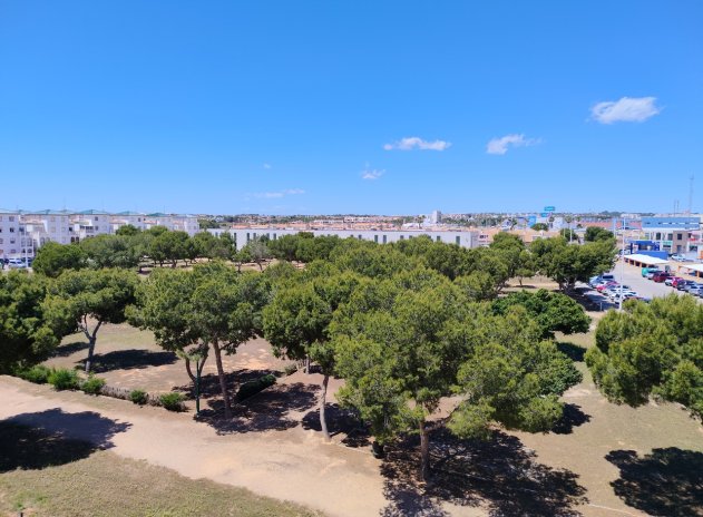 Herverkoop - Appartement - La Zenia