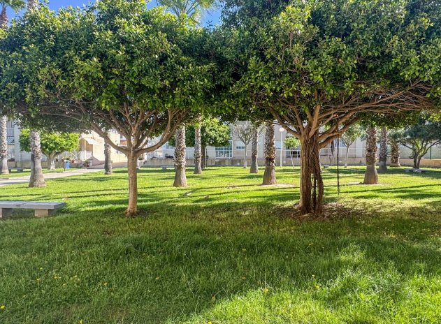 Wiederverkauf - Wohnung - Torrevieja - Aguas Nuevas