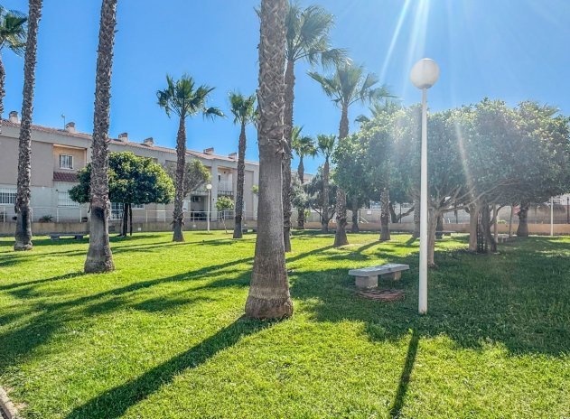 Wiederverkauf - Wohnung - Torrevieja - Aguas Nuevas